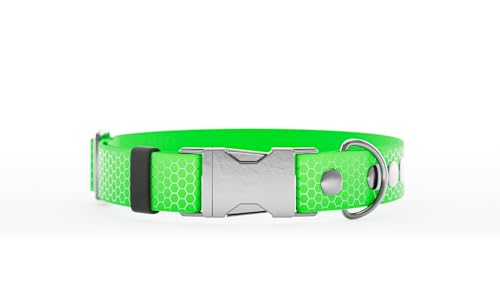 Handgemachtes Schnalle Hundehalsband 25mm XS Grün von WNM Group
