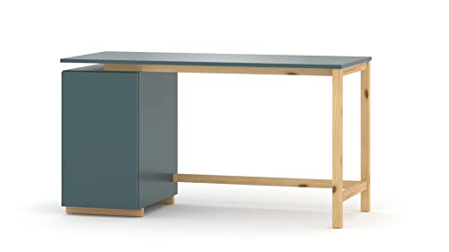 WNM Schreibtisch Kinder Jungen Mädchen - Liam- Schreibtisch für Kinderzimmer Jugendzimmer - Laminierter Platte - Komfortablen Lernraum - Schreibtisch mit Container - Blau - 138x60 cm von WNM Group