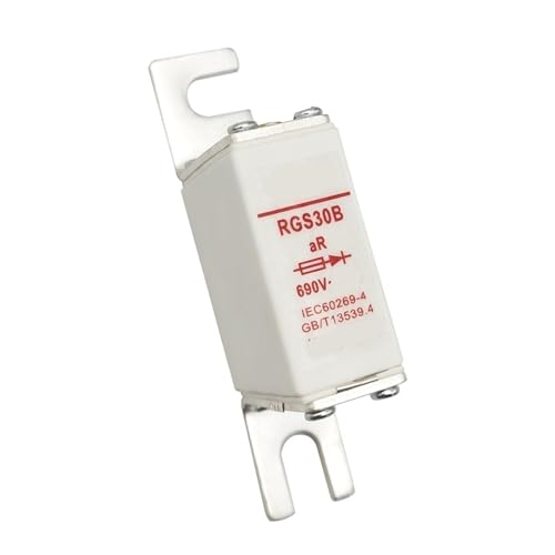 Schnell wirkende Sicherung RGS30B 690V 160A 125A 100A 80A 85A 75A 63A Sicherungsrohr(RGS30B-690V/50A) von WNQNOOVE