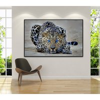 Gerahmte Leinwand, Leinwanddruck, Fotografie, Leinwand Kunst, Felin, Gepard, Guepard, Tiger, Tier, Dschungel, Extra Groß, Bild, Print von WOANUK