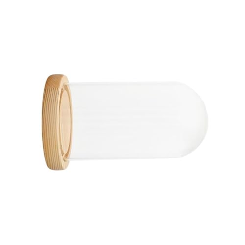 1pc Dome Cloche Glocke Glass Holz Basis Runde Home Decor, Klar Glass Kuppel Abdeckung for Nachttische(12x18cm) von WOATOHO