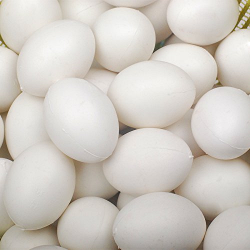 10 Vollkunststoff Eier Dummy Eier für Tauben weiß von WODE