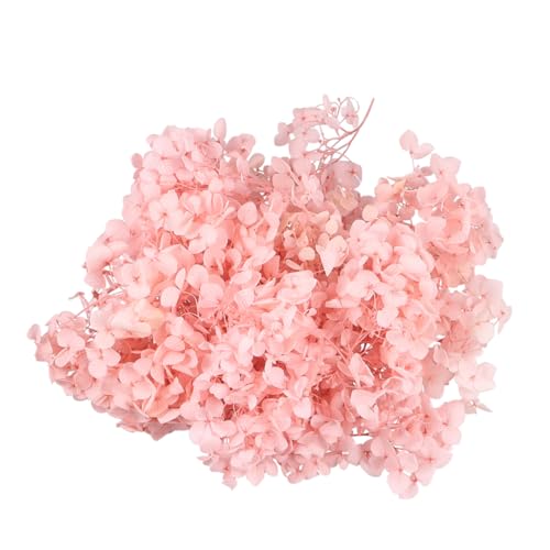 WOFASHPURET 1packung Ewige Blütenblätter Deko-trockenblumen Für -projekte - Natürliche Haltbare Hydrangea-petalen Für Kreative Bastelideen Hochzeits Und Geburtstagsdekorationen von WOFASHPURET