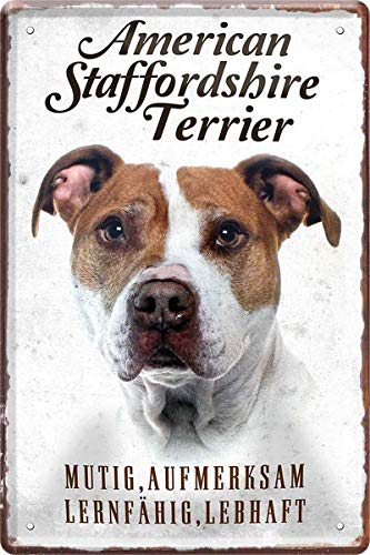 American Staffordshire Terrier Hund Steckbrief 20 x 30 cm Spruch Blechschild Blech 208 von WOGEKA ART