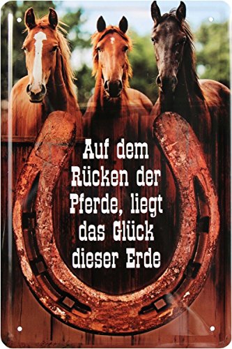 WOGEKA ART Retro Blechschild - Auf dem Rücken der Pferde liegt das Glück der Erde - witziger Spruch Geschenk-Idee Geburtstag Weihnachten Deko 20x30 cm Vintage-Design Metall 121 von WOGEKA ART