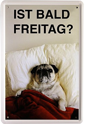 Blechschild Spruch Hund Mops" Ist bald Freitag" 20 x 30 cm Reklame Retro Blech 1261 von WOGEKA ART