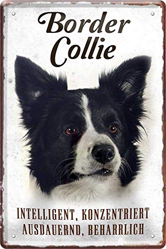 WOGEKA ART Retro Blechschild - Border Collie Hund Steckbrief - witziger Spruch als Geschenk-Idee zum Geburtstag Weihnachten zur Dekoration 20x30 cm Vintage-Design aus Metall 104 von WOGEKA ART