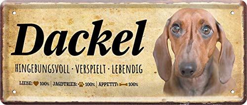 Dackel Hund Steckbrief Dog 28 x 12 cm Deko Spruch Blechschild Blech 1366 von WOGEKA ART