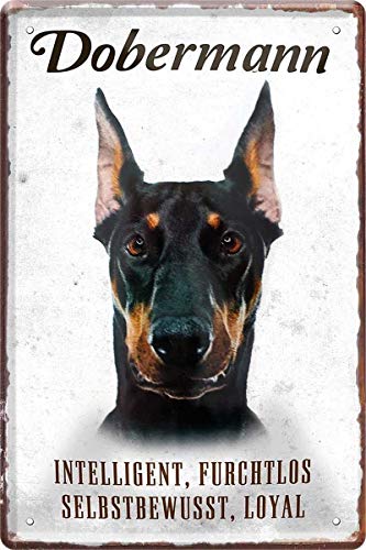 WOGEKA ART Retro Blechschild - Dobermann Hund Steckbrief - witziger Spruch als Geschenk-Idee zum Geburtstag Weihnachten zur Dekoration 20x30 cm Vintage-Design aus Metall 188 von WOGEKA ART