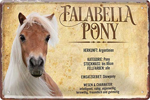 Falabella Pony Pferd Horse Steckbrief 20 x 30 cm Deko Spruch Blechschild Blech 444 von WOGEKA ART