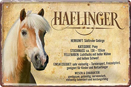 WOGEKA ART Retro Blechschild - Haflinger Pferd Steckbrief Horse - witziger Spruch als Geschenk-Idee zum Geburtstag Weihnachten zur Dekoration 20x30 cm Vintage-Design aus Metall 477 von WOGEKA ART