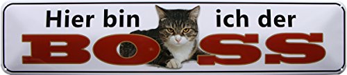 HIER BIN ICH DER BOSS - KATZE 46x10 BLECHSCHILD STRASSENSCHILD STR196 von WOGEKA ART