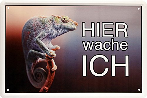 Hier wache ich ! Chamäleon Reptil 20 x 30 cm Türschild Deko Blechschild 1388 von WOGEKA ART