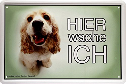 Hier wache ich ! Cocker Spaniel Hund Dog 20 x 30 Türschild Deko Blechschild 1398 von WOGEKA ART