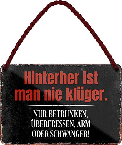 Hinterher ist man nie klüger, nur betrunken... 18x12 cm Blech Hängeschild HS379 von WOGEKA ART