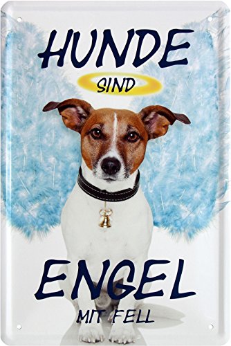 Hunde sind Engel mit Fell Hundeliebe 20x30 Blechschild 455 von WOGEKA ART