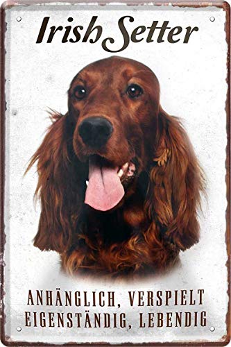 Irish Setter Hund Steckbrief 20 x 30 cm Deko Spruch Blechschild Blech 210 von WOGEKA ART