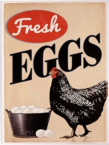 Kühlschrank Magnet 6x8 cm " Fresh Eggs " Retro Nostalgie Tin Sign EMAG273 von WOGEKA ART