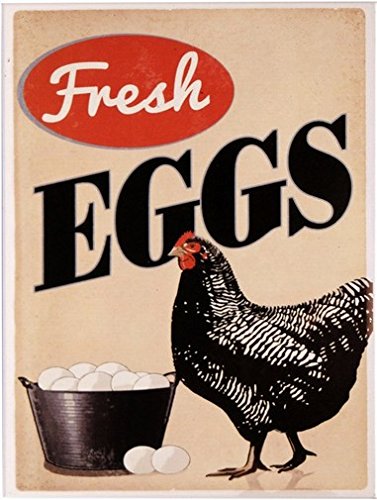 Kühlschrank Magnet 6x8 cm Fresh Eggs Retro Nostalgie Tin Sign EMAG273 von WOGEKA ART