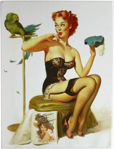 Kühlschrank Metall Magnet 6x8 cm " PinUp Girl mit Papagei" Nostalgie Tin Sign EMAG185 von WOGEKA ART