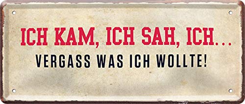 WOGEKA ART Retro Blechschild - Ich kam, ich sah, ich vergaß was ich wollte - witziger Spruch als Geschenk-Idee Geburtstag Weihnachten Dekoration 28x12 cm Vintage-Design Metall 242 von WOGEKA ART