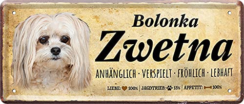 Lustiges Deko Hunde-Rassen Steckbrief Blech-Schild Blechschilder Dog (28 x 12 cm, Bolonka Zwetna Weiß - Anhänglich Verspielt Fröhlich Lebhaft 2277) von WOGEKA ART