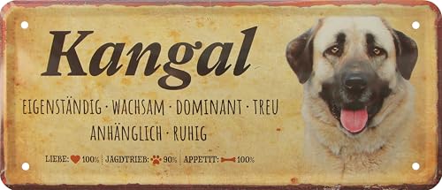 WOGEKA ART Retro Blechschild - Kangal Hunde-Rassen Steckbrief - witziger Spruch als Geschenk-Idee zum Geburtstag Weihnachten zur Dekoration 28x12 cm Vintage-Design aus Metall 316 von WOGEKA ART