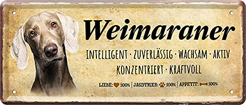 WOGEKA ART Retro Blechschild - Weimaraner Hunde-Rasse Steckbrief - witziger Spruch als Geschenk-Idee zum Geburtstag Weihnachten zur Dekoration 20x30 cm Vintage-Design Metall 881 von WOGEKA ART