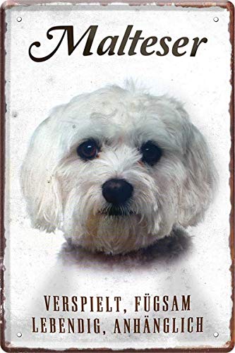 Malteser Hund Steckbrief 20 x 30 cm Deko Spruch Blechschild Blech 284 von WOGEKA ART