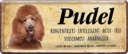 N/A Pudel Hund Steckbrief Dog 28 x 12 cm Spruch Deko Blechschild Blech 1643 von WOGEKA ART