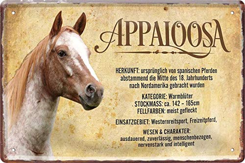 N / A Appaloosa Pferd Horse Steckbrief 20 x 30 cm Deko Spruch Blechschild Blech 425 von WOGEKA ART