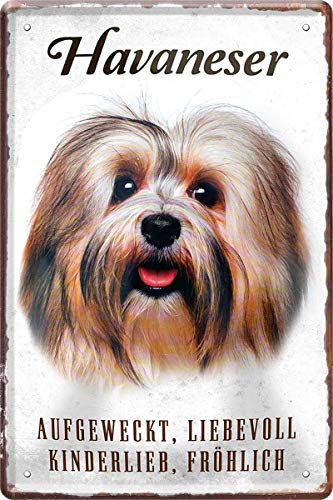 N / A Havaneser Hund Steckbrief 20 x 30 cm Deko Spruch Blechschild Blech 205 von WOGEKA ART
