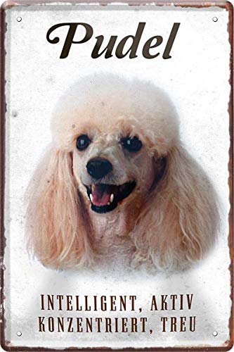 N / A Pudel Hund Steckbrief 20 x 30 cm Deko Spruch Blechschild Blech 326 von WOGEKA ART