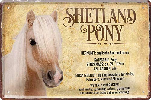 Shetland Pony Horse Pferd Steckbrief 20 x 30 cm Deko Spruch Blechschild Blech 543 Shetland Pony Horse Pferd Steckbrief 20 x 30 cm Deko Spruch Blechschild Blech 543 von WOGEKA ART