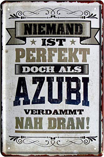Niemand ist perfekt, doch als Azubi 20x30 cm Blechschild 2172 von WOGEKA ART