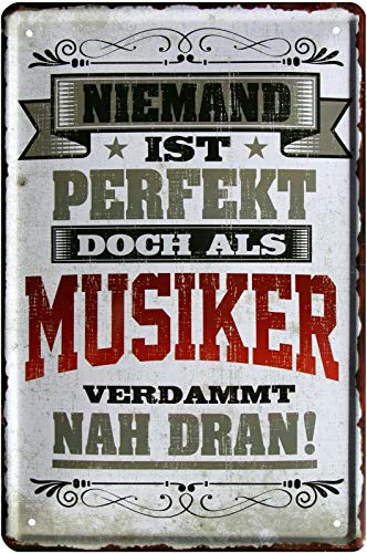 WOGEKA ART Retro Blechschild - Niemand ist perfekt, doch als Musiker - witziger Spruch als Geschenk-Idee zum Geburtstag Weihnachten Dekoration 20x30 cm Vintage-Design Metall 2201 von WOGEKA ART