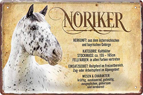 Noriker Pferd Horse Steckbrief 20 x 30 cm Deko Spruch Blechschild Blech 517 von WOGEKA ART