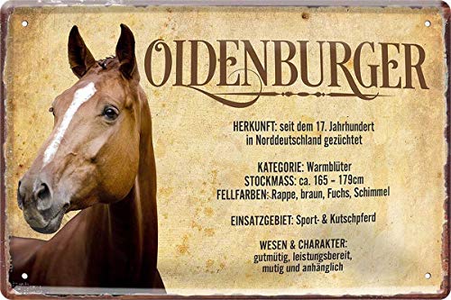 Oldenburger Pferd Horse Steckbrief 20 x 30 cm Deko Spruch Blechschild Blech 525 Oldenburger Pferd Horse Steckbrief 20 x 30 cm Deko Spruch Blechschild Blech 525 von WOGEKA ART