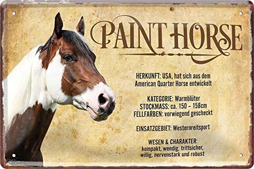 Paint Horse Pferd Steckbrief 20 x 30 cm Deko Spruch Blechschild Blech 533 von WOGEKA ART