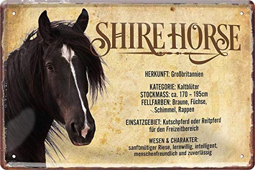 Shire Horse Pferd Steckbrief 20 x 30 cm Deko Spruch Blechschild Blech 544 von WOGEKA ART