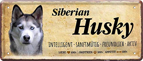 WOGEKA ART Retro Blechschild - Siberian Husky Hund Steckbrief Dog - witziger Spruch als Geschenk-Idee zum Geburtstag Weihnachten zur Dekoration 28x12 cm Vintage-Design Metall 1617 von WOGEKA ART