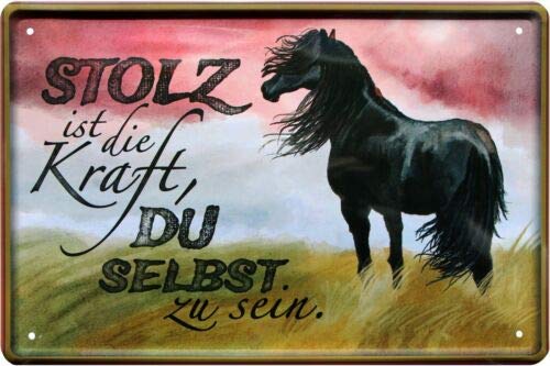 Stolz ist die Kraft, Du selbst zu sein Pferd 20x30 cm Blechschild 550 von WOGEKA ART
