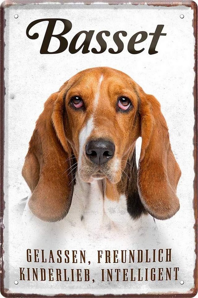 WOGEKA ART Metallbild Hunde-Rassen Steckbrief 20 x 30 cm Blechschild Haustier Hund Deko, Basset WOGEKA ART Metallbild Hunde-Rassen Steckbrief 20 x 30 cm Blechschild Haustier Hund Deko, Basset von WOGEKA ART