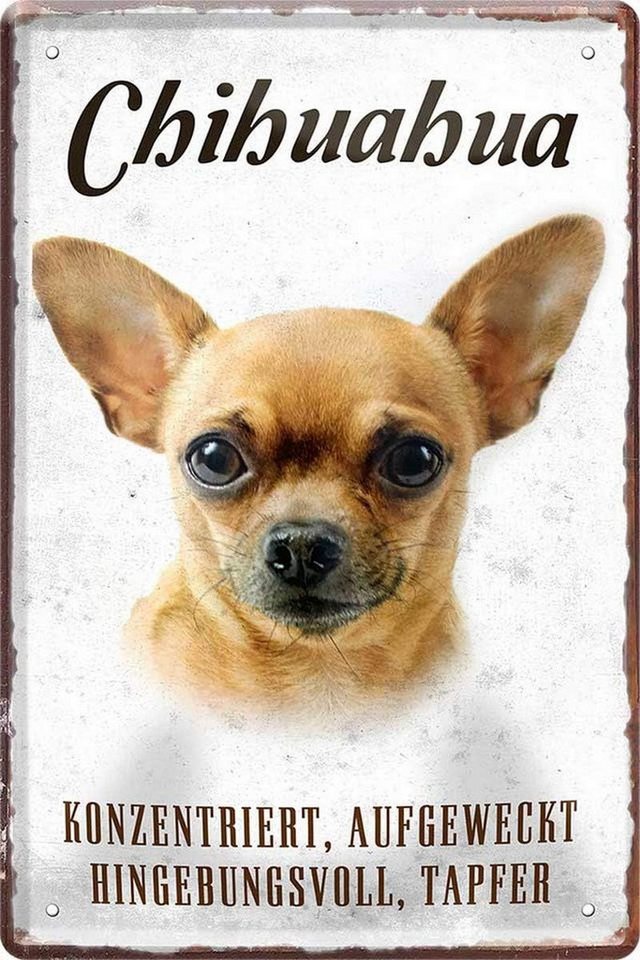 WOGEKA ART Metallbild Hunde-Rassen Steckbrief 20 x 30 cm Blechschild Haustier Hund Deko, Chihuahua von WOGEKA ART