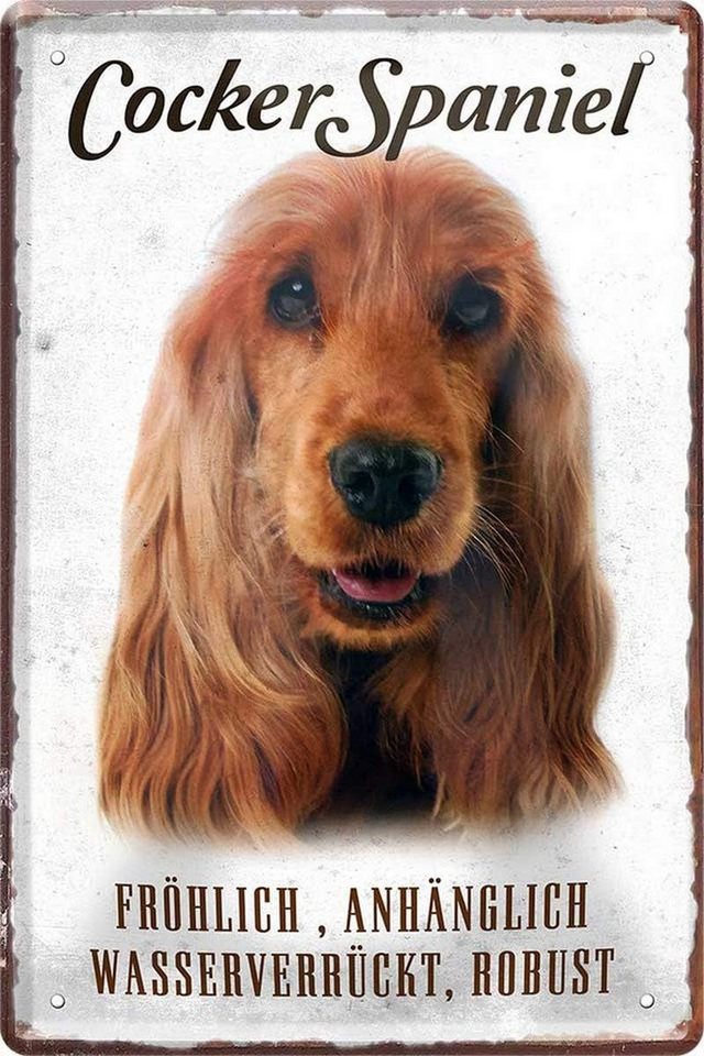 WOGEKA ART Metallbild Hunde-Rassen Steckbrief 20 x 30 cm Blechschild Haustier Hund Deko, Cocker Spaniel WOGEKA ART Metallbild Hunde-Rassen Steckbrief 20 x 30 cm Blechschild Haustier Hund Deko, Cocker Spaniel von WOGEKA ART