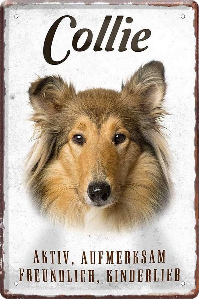 WOGEKA ART Metallbild Hunde-Rassen Steckbrief 20 x 30 cm Blechschild Haustier Hund Deko, Collie WOGEKA ART Metallbild Hunde-Rassen Steckbrief 20 x 30 cm Blechschild Haustier Hund Deko, Collie von WOGEKA ART