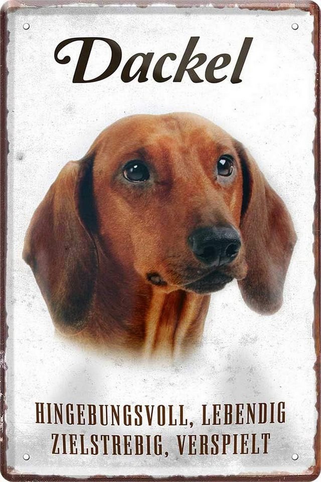WOGEKA ART Metallbild Hunde-Rassen Steckbrief 20 x 30 cm Blechschild Haustier Hund Deko, Dackel von WOGEKA ART