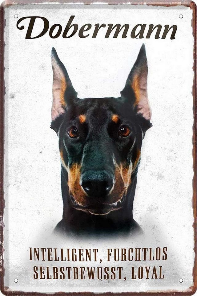WOGEKA ART Metallbild Hunde-Rassen Steckbrief 20 x 30 cm Blechschild Haustier Hund Deko, Dobermann von WOGEKA ART