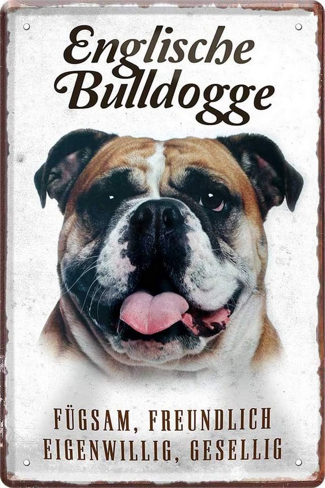 WOGEKA ART Metallbild Hunde-Rassen Steckbrief 20 x 30 cm Blechschild Haustier Hund Deko, Englische Bulldogge WOGEKA ART Metallbild Hunde-Rassen Steckbrief 20 x 30 cm Blechschild Haustier Hund Deko, Englische Bulldogge von WOGEKA ART