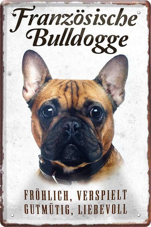 WOGEKA ART Metallbild Hunde-Rassen Steckbrief 20 x 30 cm Blechschild Haustier Hund Deko, Französische Bulldogge WOGEKA ART Metallbild Hunde-Rassen Steckbrief 20 x 30 cm Blechschild Haustier Hund Deko, Französische Bulldogge von WOGEKA ART